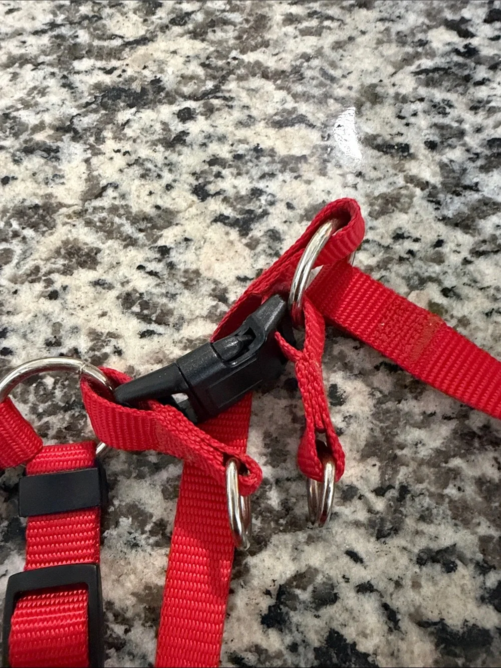 Red Dog Harness - Adjustable Nylon No-Brand Pet Harness Small Dogs or Puppies